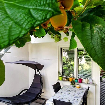 Apartma Dessa Порторож Екстер'єр фото